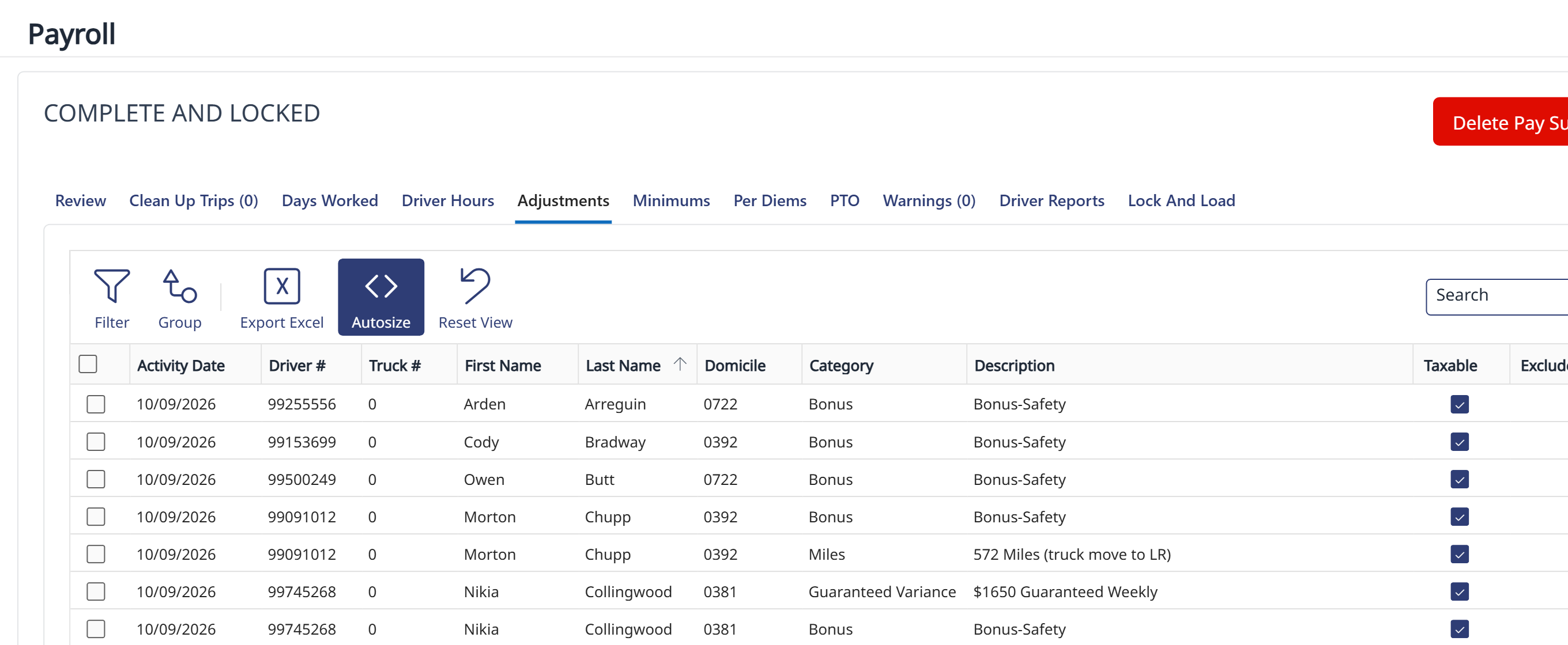 The payroll Adjustments tab